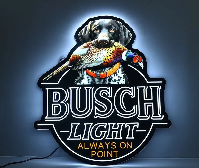 LED light box
